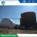 PVDF Biogas Storage Balloon for Combined Heat and Power Project